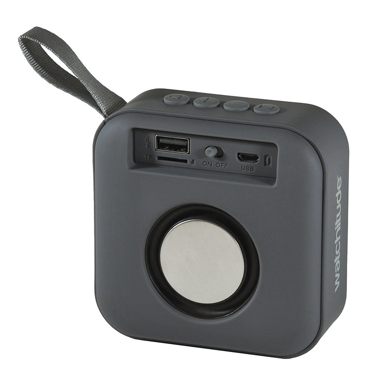 FINISH LINE SPEAKER